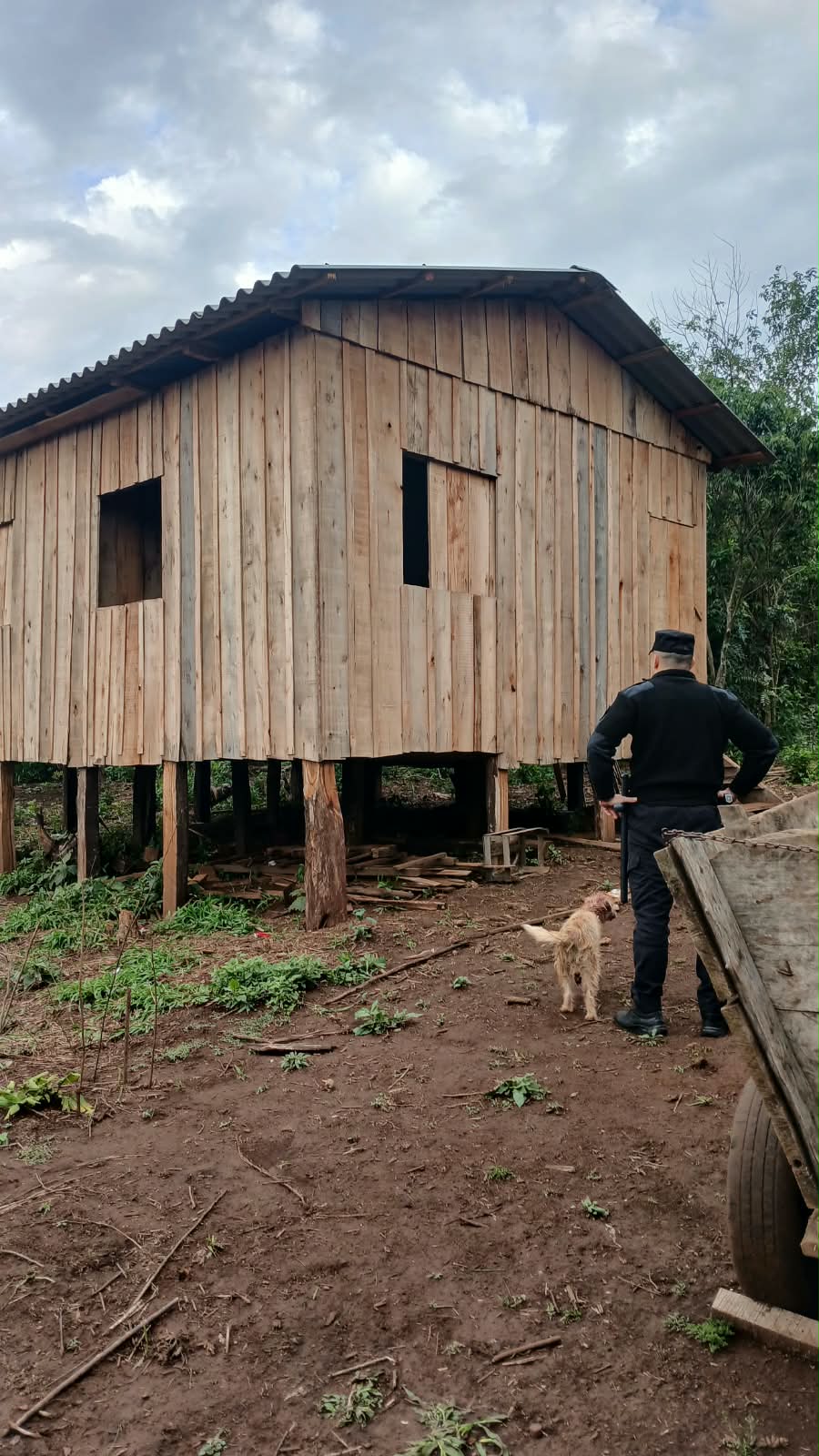 Detuvieron al acusado de atacar con una foisa a un hombre en Dos Hermanas 2